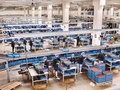 【視界】超越德國？揭秘農業科技領域的隱形冠軍